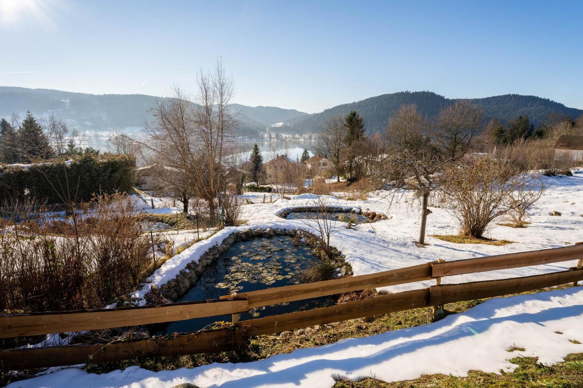 Moho Mountain Home Gérardmer Exteriör bild
